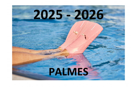 Nage avec palmes